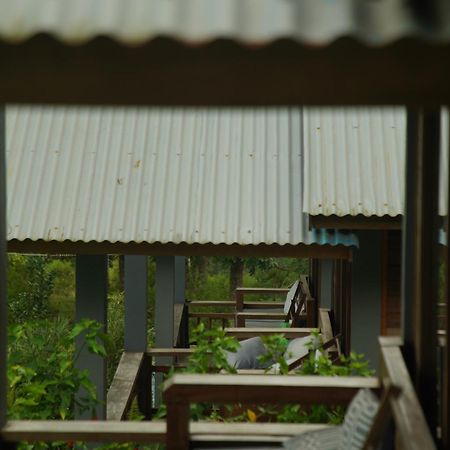The Geckos Homestay Kelimutu Pokoj fotografie