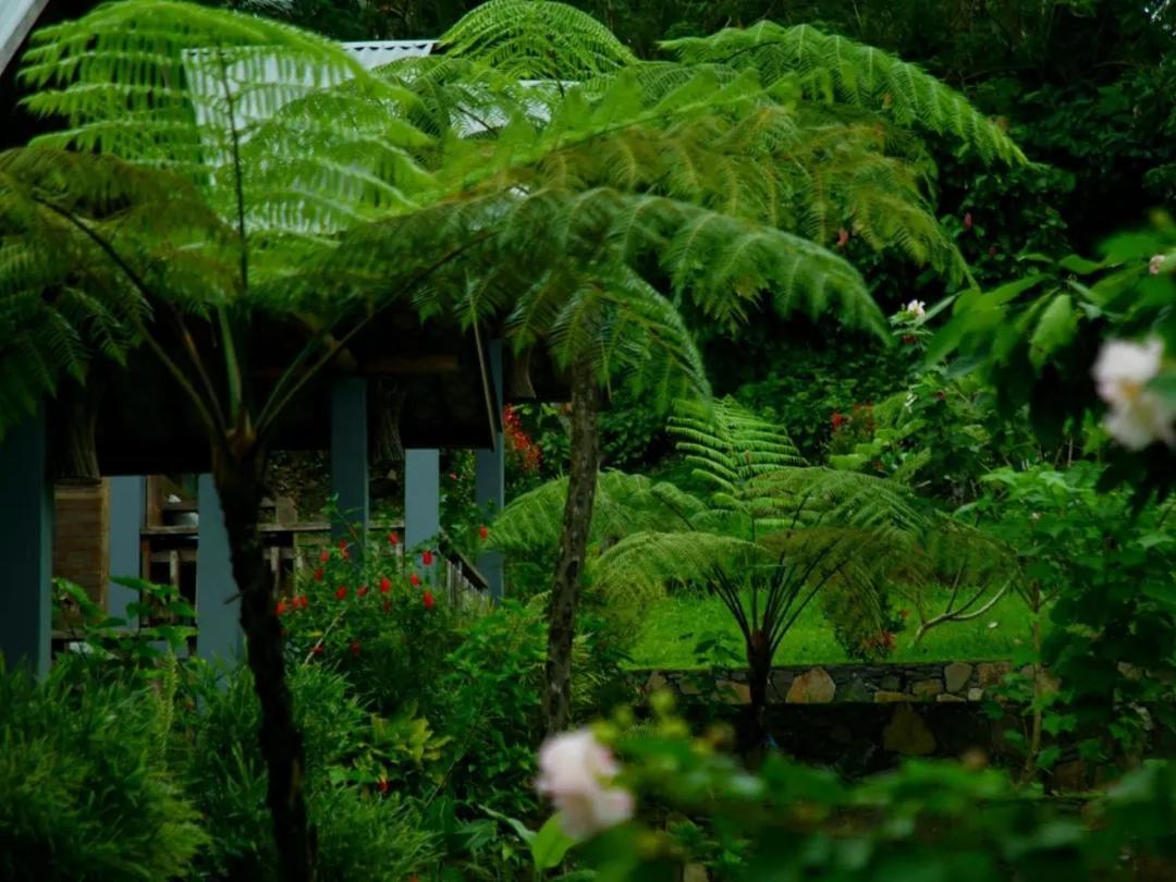 The Geckos Homestay Kelimutu Exteriér fotografie