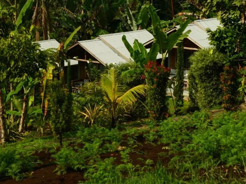 The Geckos Homestay Kelimutu Pokoj fotografie