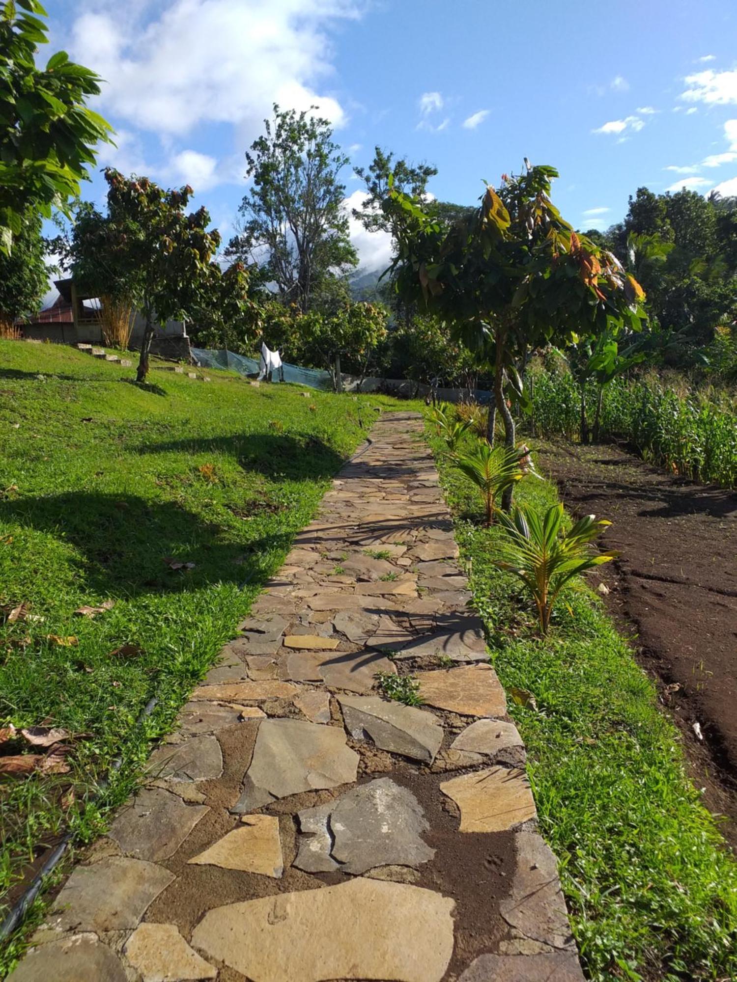The Geckos Homestay Kelimutu Pokoj fotografie