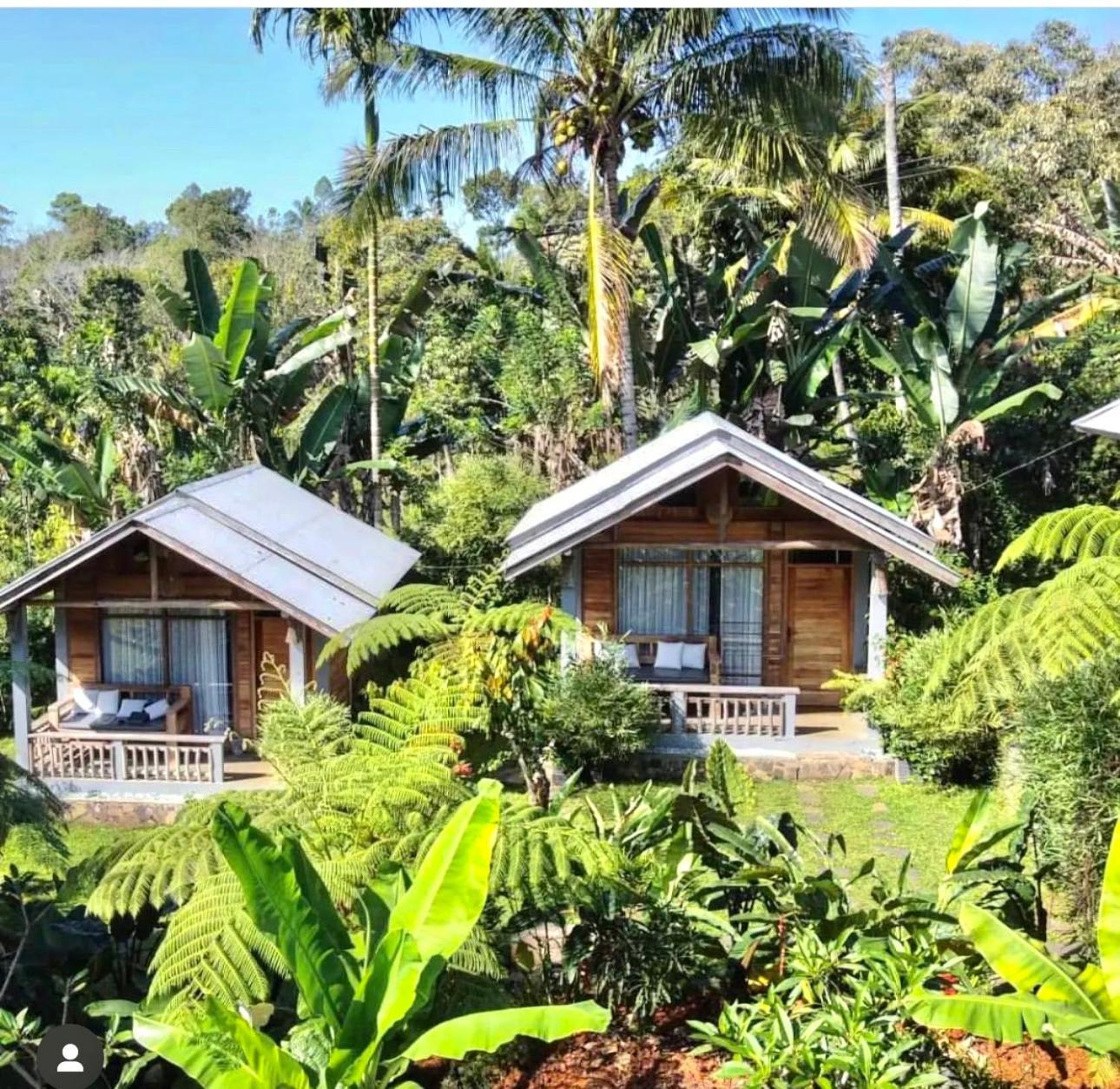 The Geckos Homestay Kelimutu Exteriér fotografie